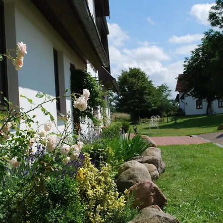 Appartement Hiddensee Mit Pool Apartment Dargun